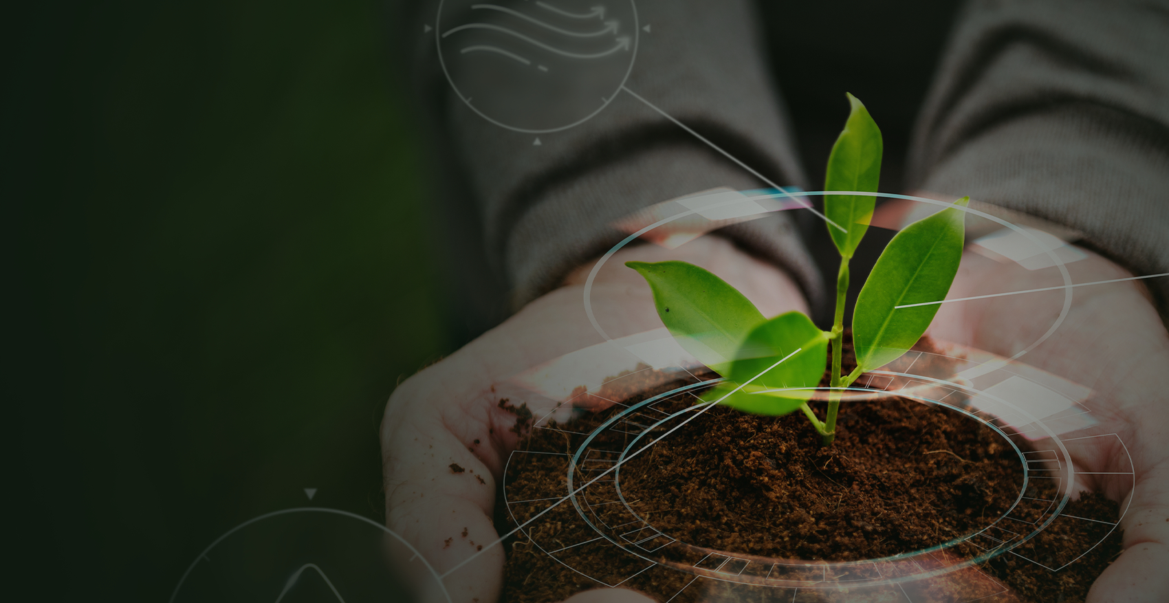Bioenergy